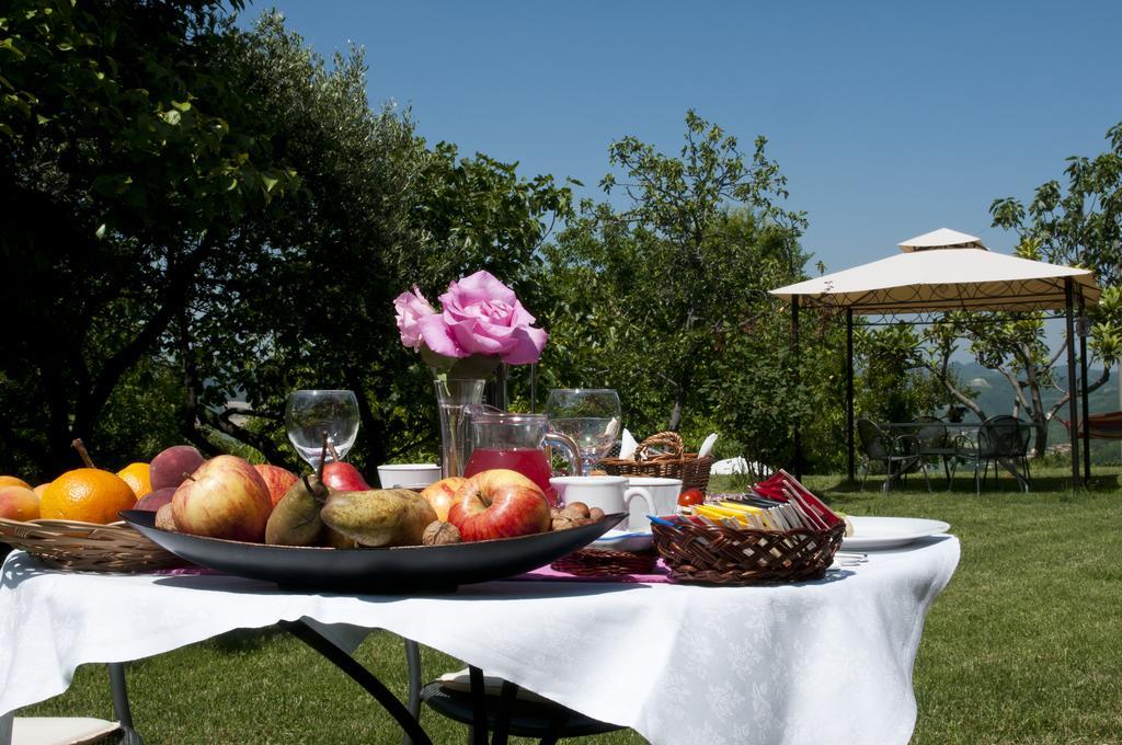 Cascina Rosa B&B Grazzano Badoglio Екстер'єр фото